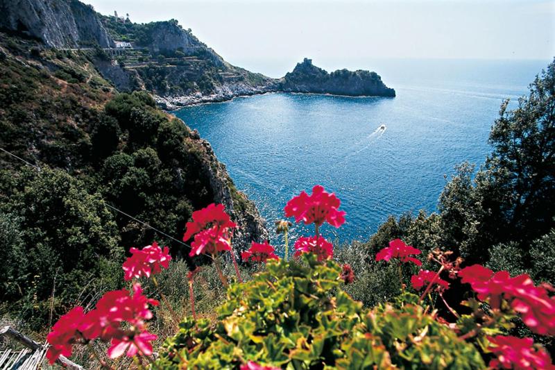 Salerno Prestige Apartment - image 13