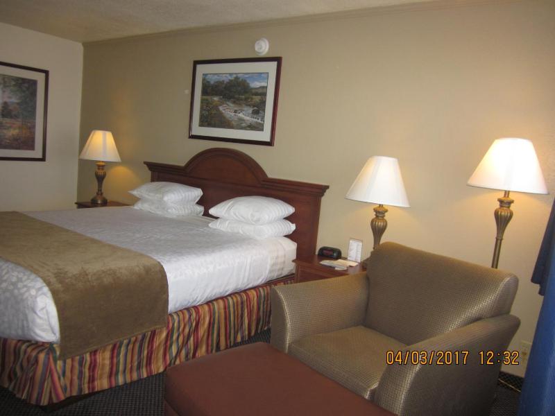 King Room - Non-Smoking image 4