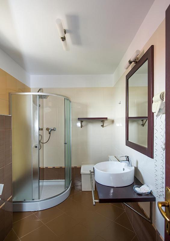 One-Bedroom Apartment image 3