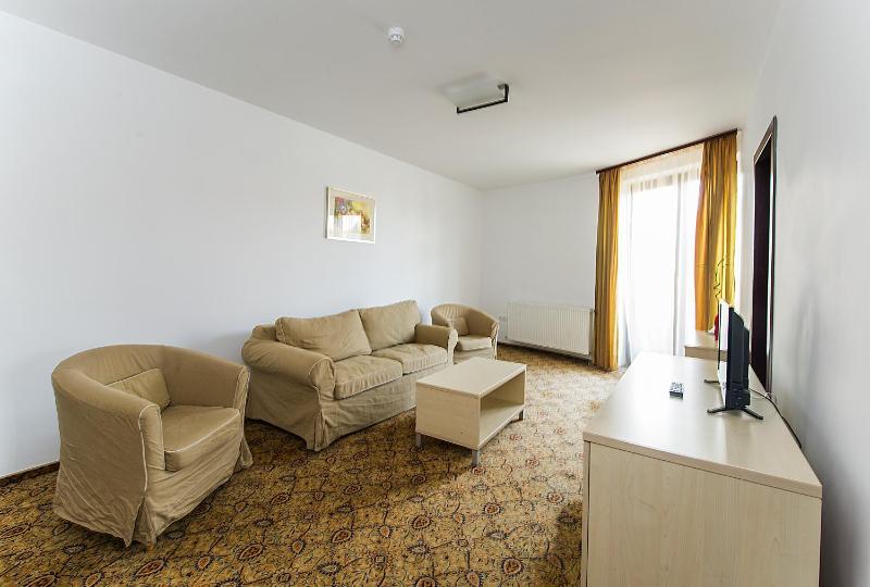 One-Bedroom Apartment image 2