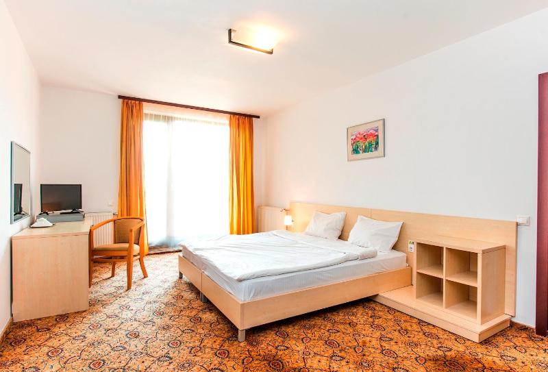 AselTur Brasov - image 8