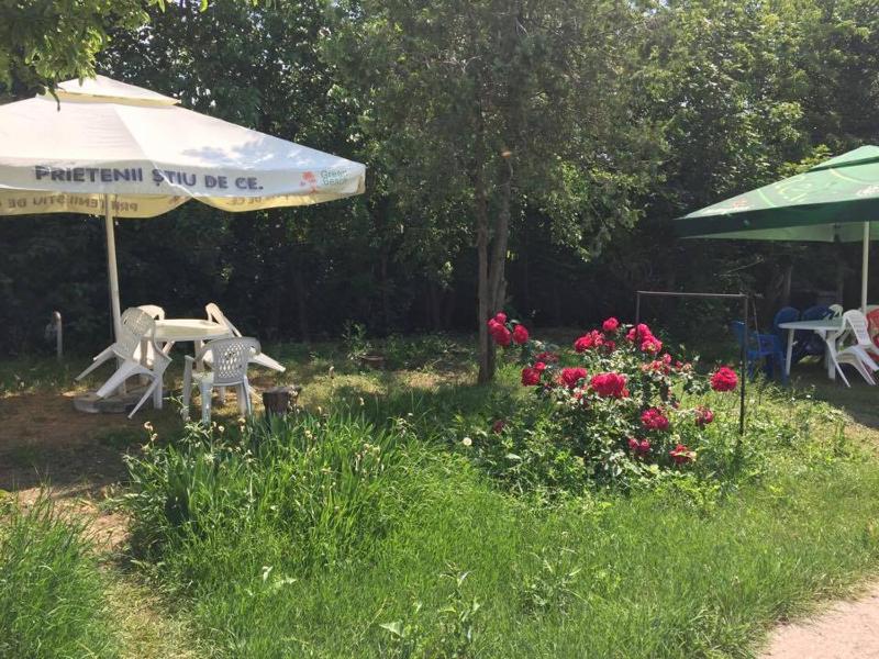 Bungalow Eforie Nord - image 12