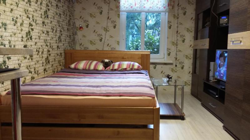 Small and cozy studio apartment - image 4