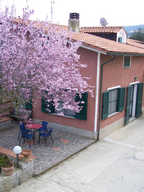 Appartamenti Gli Alberi - image 27