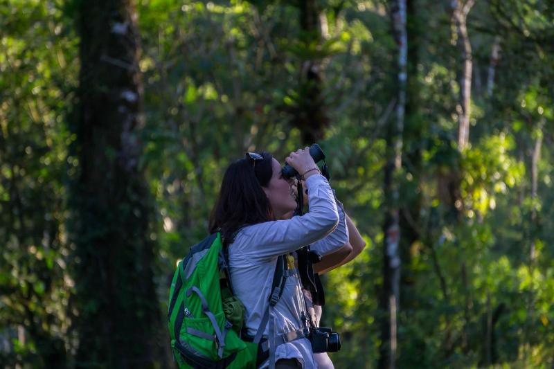 Arenal Observatory Lodge & Trails - image 16