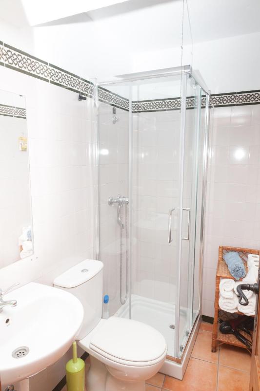 One-Bedroom Apartment image 2