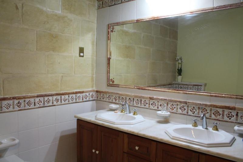 Deluxe Studio image 3