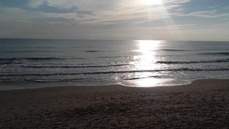 Apartamento Guardamar Playa Images