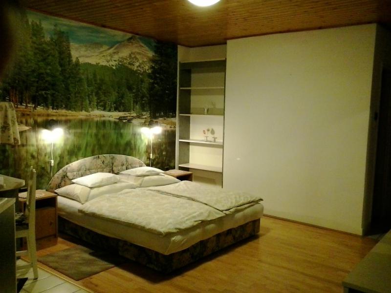 Studio with Balcony image 3