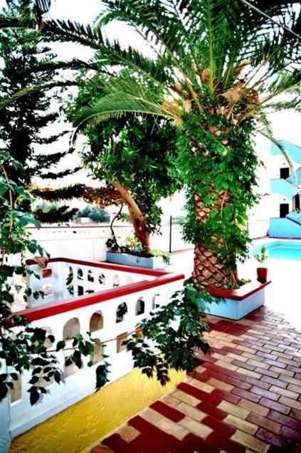 Eleni Apartments - image 36