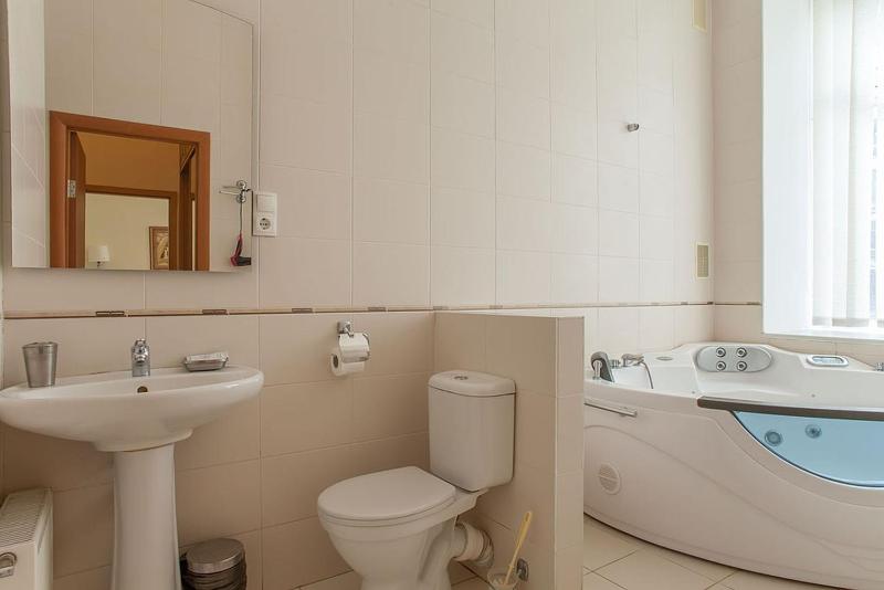 Studio Apartment image 4