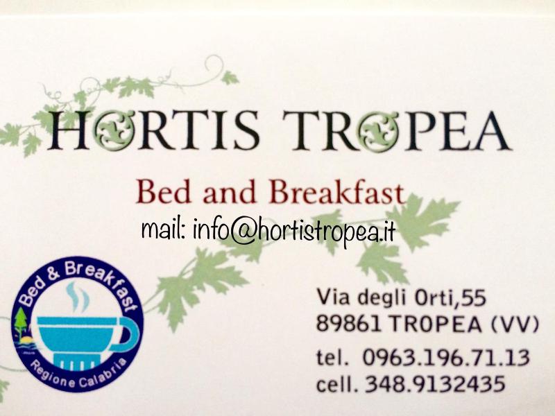 B&B Hortis Tropea - image 32
