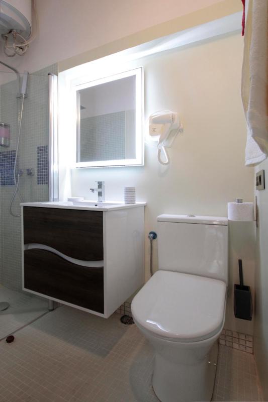 One-Bedroom Apartment image 2