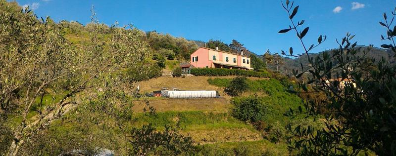 Agriturismo La Quiete - image 7