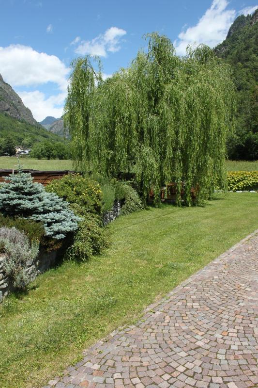 Double or Twin Room image 4