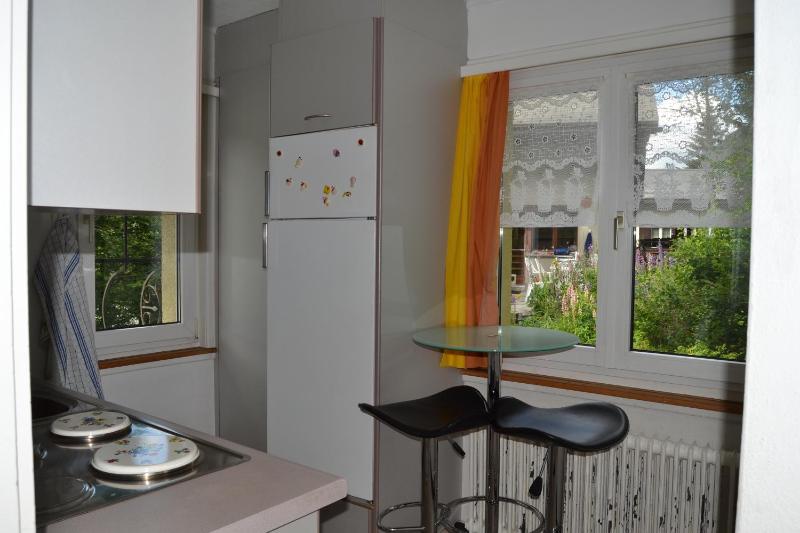 One-Bedroom Apartment image 2