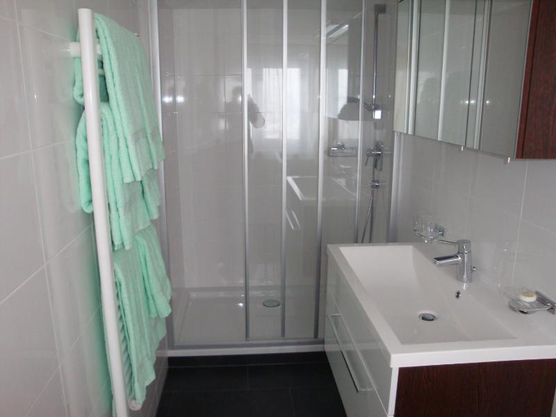 Three-Bedroom Apartment with Balcony image 3