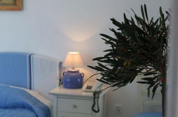 Single Room Mountain View image 3