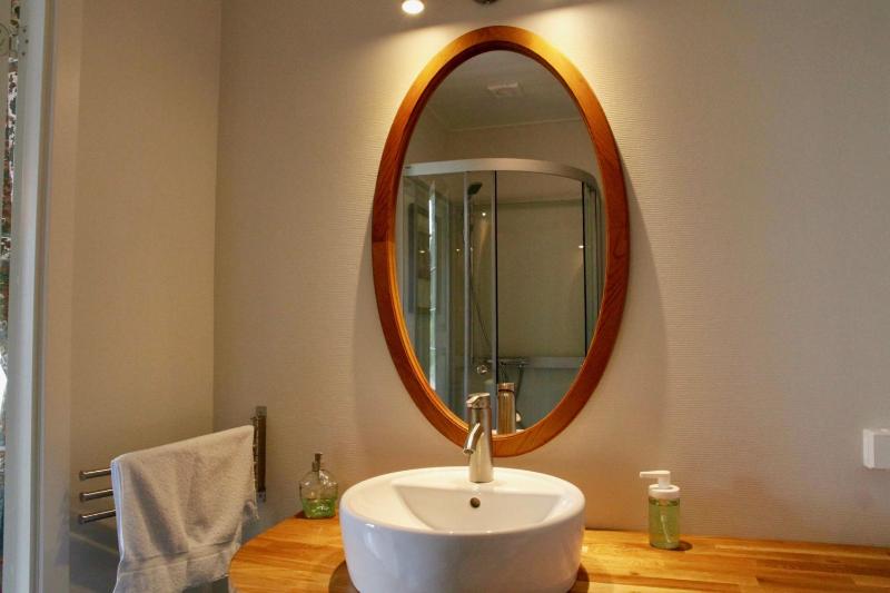 Suite with Lake View image 4