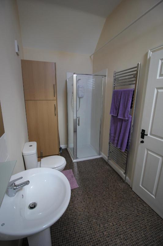 Apartment image 1