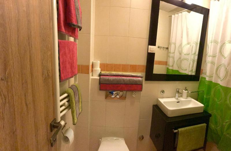 Vip apartment Beograd - image 10
