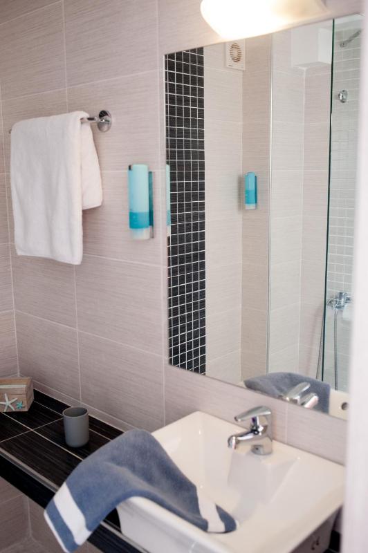One-Bedroom Apartment image 3