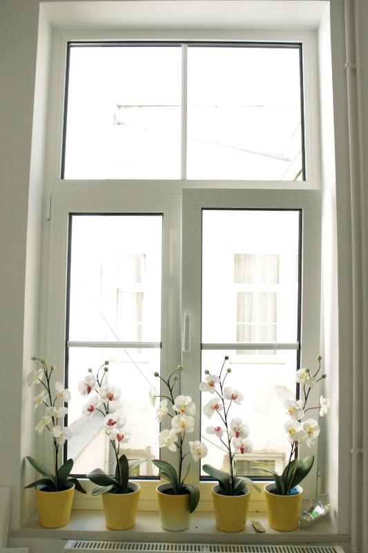Superior Apartment image 2