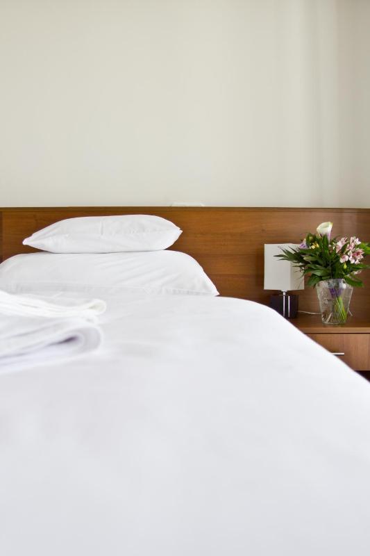 Double or Twin Room image 1