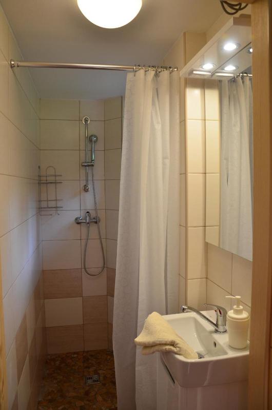 One-Bedroom Apartment image 2