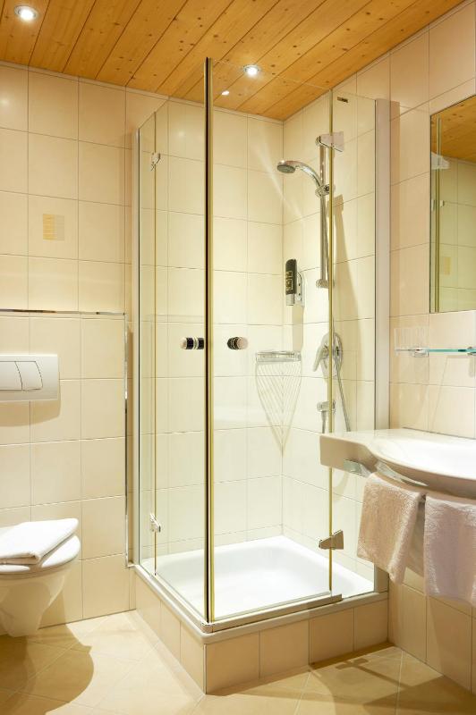 One-Bedroom Apartment image 4