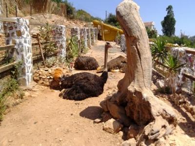 Stone Village Hotel Apartments - image 14