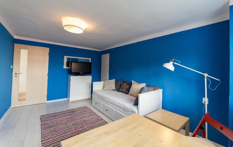 Villa Cihelna apartments - image 7