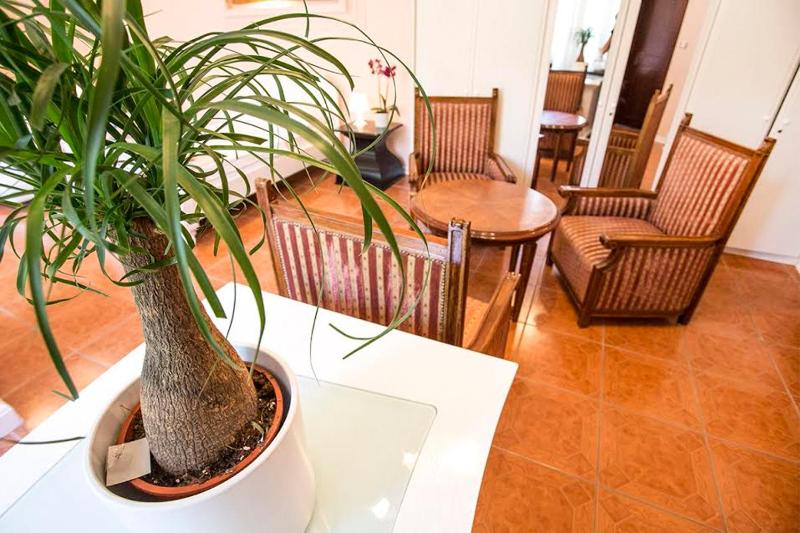Luna apartment - image 6