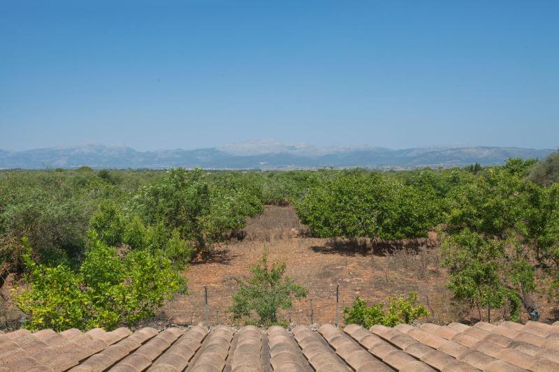 Villa image 4