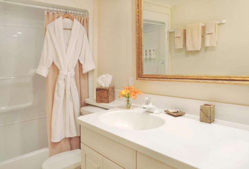 Deluxe Suite image 2