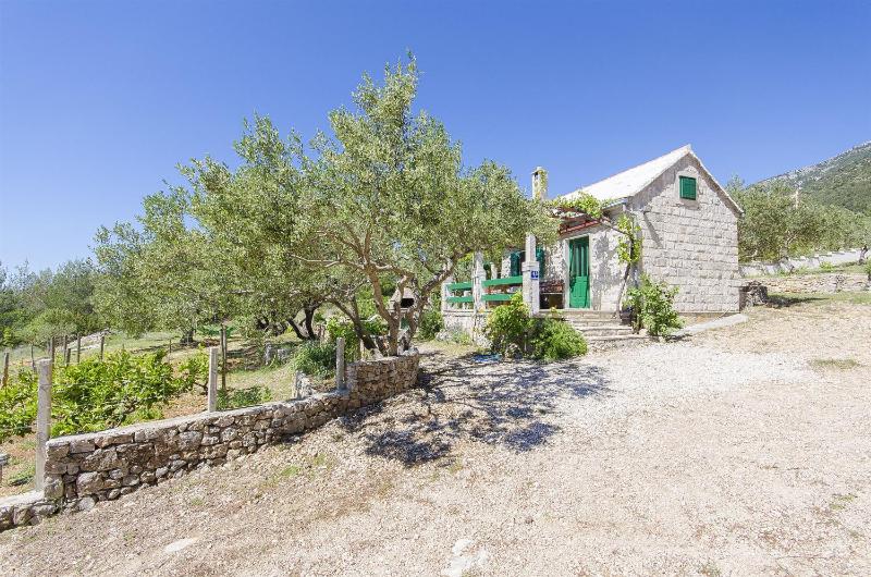 House Ivan - image 17