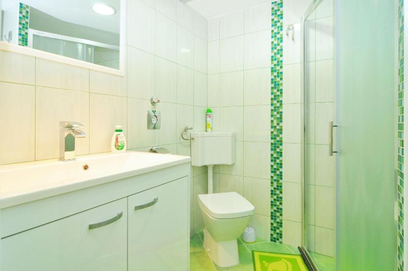One-Bedroom Apartment image 3
