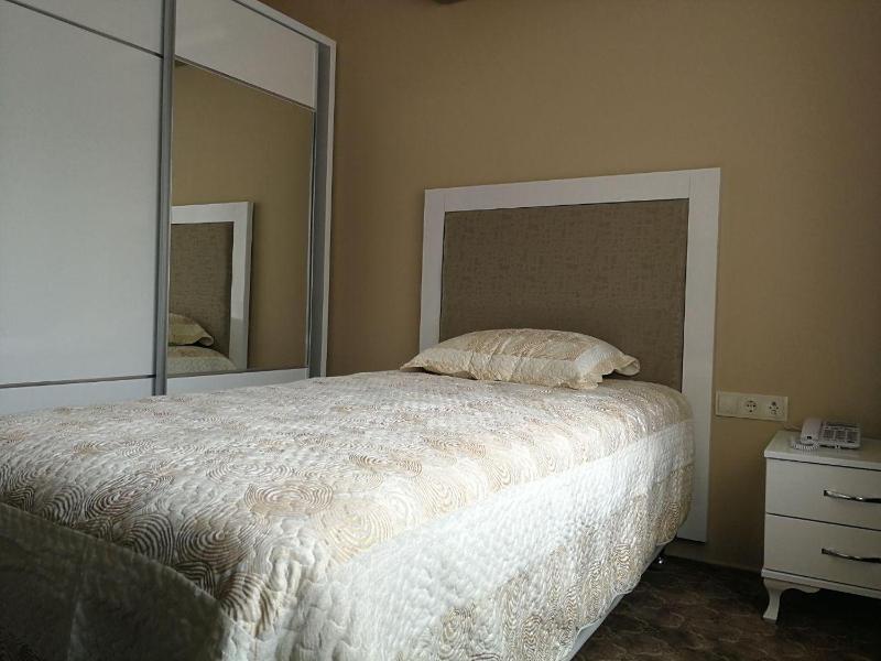 Large Single Room image 3