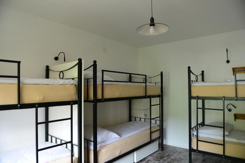 Bunk Bed in Mixed Dormitory Room with Shared Bathroom image 2