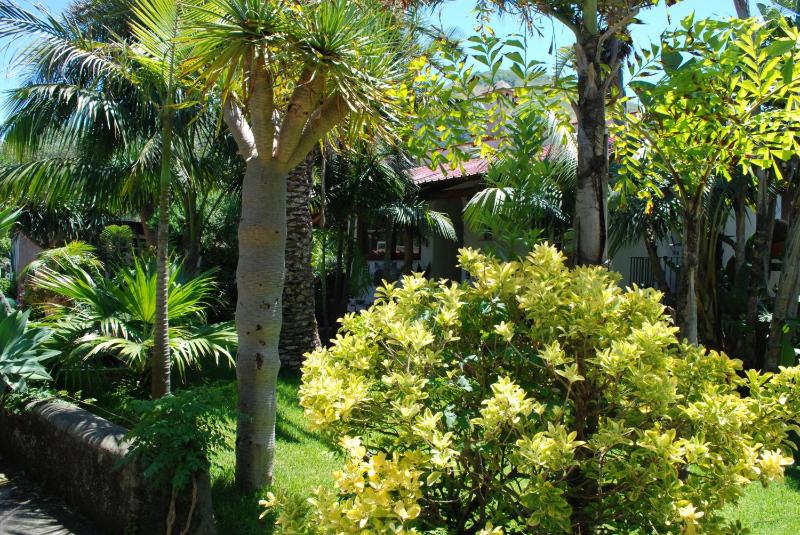 Residence Villa Cristina - image 43