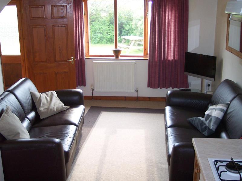 One-Bedroom Apartment image 4