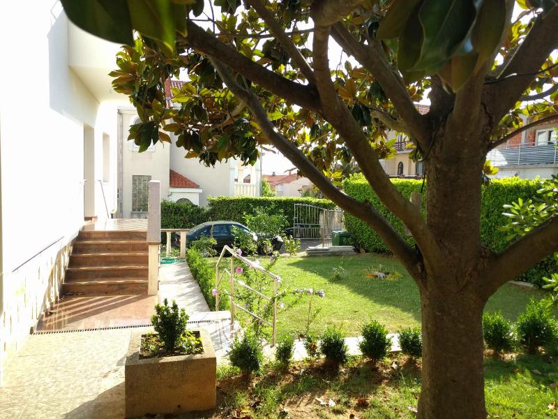 Local lifestyle - image 2