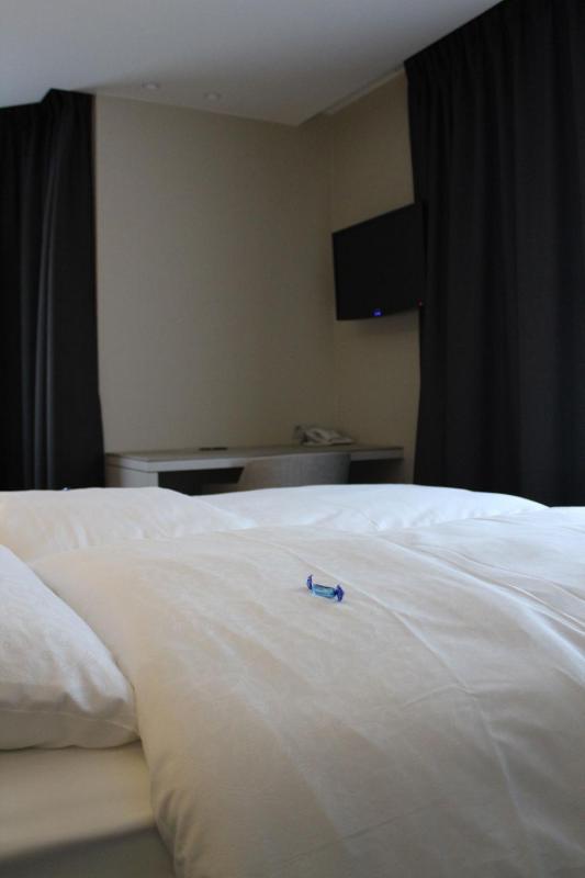 Hotel Astel - image 26