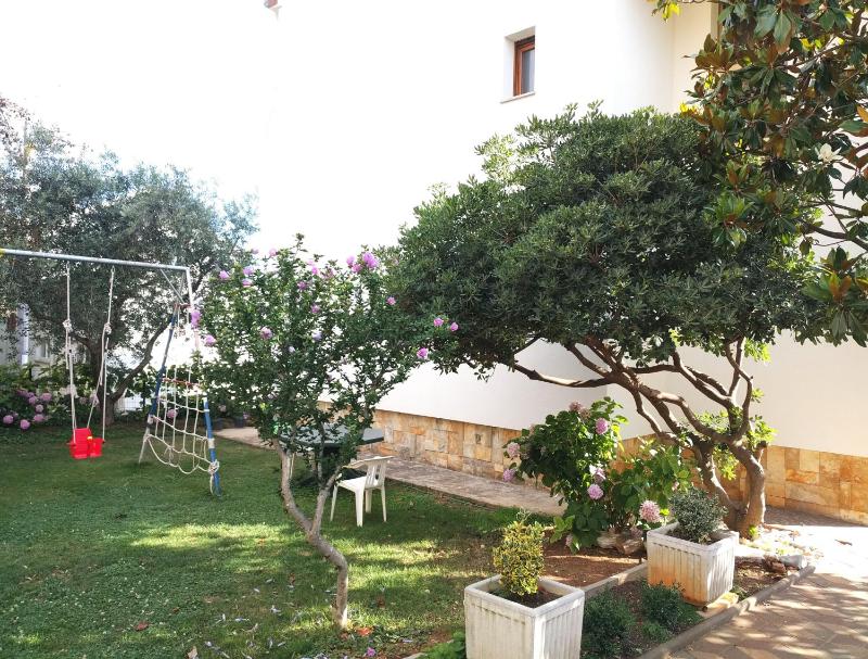 Local lifestyle - image 9