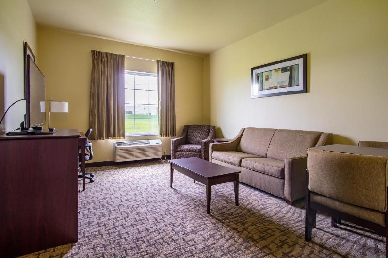 Deluxe King Suite image 4