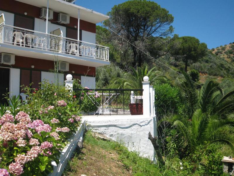 Bellina Studios - image 18
