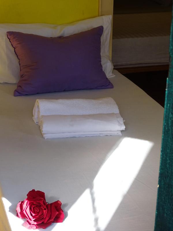 Mixed Dormitory Room image 2