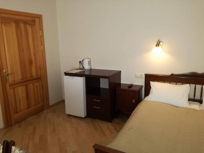 Agava - image 6