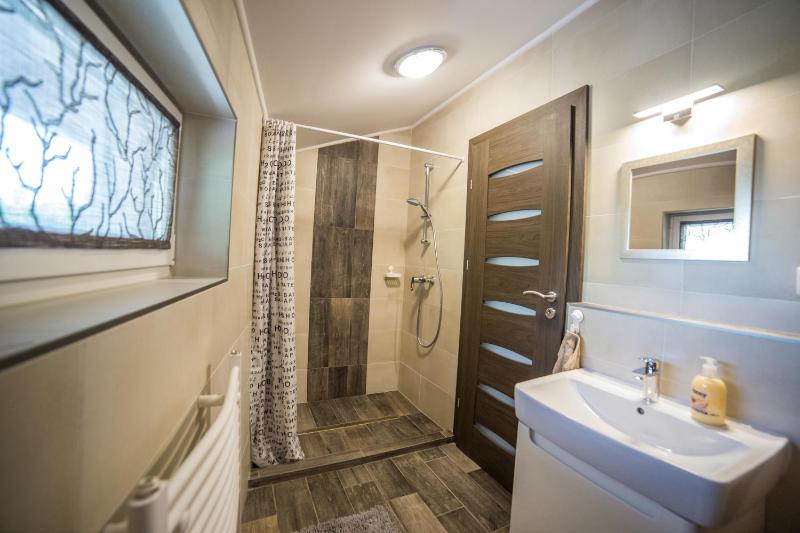 One-Bedroom Apartment image 4