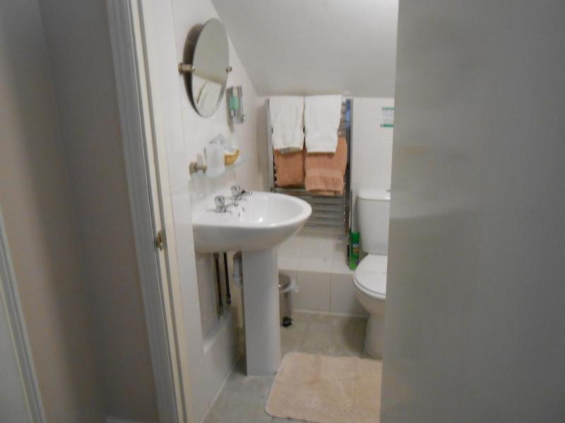 Large Single Room image 4